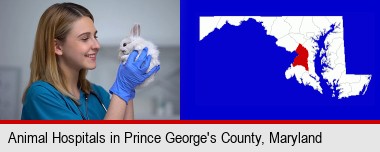 young female vet caring for a bunny; Prince George's County highlighted in red on a map