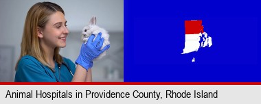 young female vet caring for a bunny; Providence County highlighted in red on a map