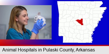 young female vet caring for a bunny; Pulaski County highlighted in red on a map