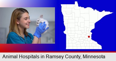 young female vet caring for a bunny; Ramsey County highlighted in red on a map