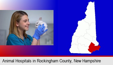 young female vet caring for a bunny; Rockingham County highlighted in red on a map