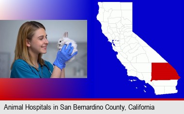 young female vet caring for a bunny; San Bernardino County highlighted in red on a map