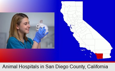 young female vet caring for a bunny; San Diego County highlighted in red on a map