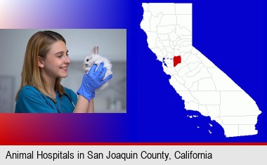 young female vet caring for a bunny; San Joaquin County highlighted in red on a map