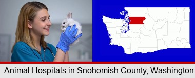 young female vet caring for a bunny; Snohomish County highlighted in red on a map