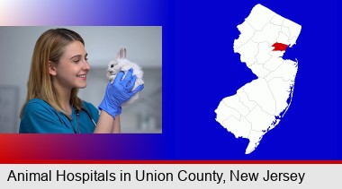 young female vet caring for a bunny; Union County highlighted in red on a map