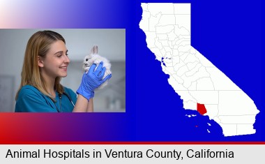 young female vet caring for a bunny; Ventura County highlighted in red on a map