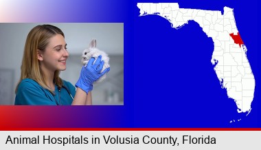 young female vet caring for a bunny; Volusia County highlighted in red on a map