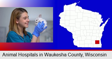 young female vet caring for a bunny; Waukesha County highlighted in red on a map