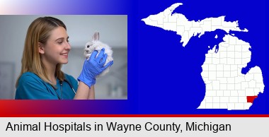 young female vet caring for a bunny; Wayne County highlighted in red on a map