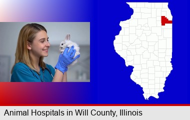 young female vet caring for a bunny; Will County highlighted in red on a map