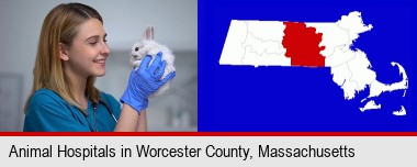 young female vet caring for a bunny; Worcester County highlighted in red on a map
