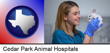 young female vet caring for a bunny in Cedar Park, TX