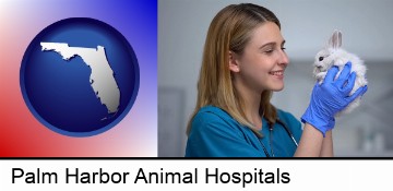 young female vet caring for a bunny in Palm Harbor, FL