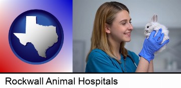 young female vet caring for a bunny in Rockwall, TX